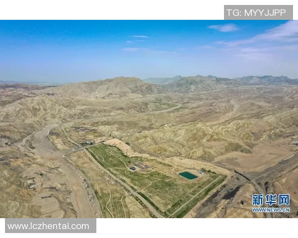 俞长栋：从平凡到卓越的奋斗之路与人生哲学探讨